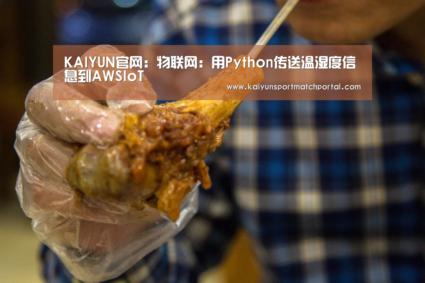 KAIYUN官网:物联网:用Python传送温湿度信息到AWSIoT(图3) 开云官网导航