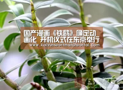 国产漫画《铁鸥》确定动画化 开机仪式在东京举行【开云官网导航】(图2) 开云官网导航
