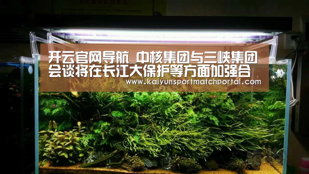 开云官网导航_中核集团与三峡集团会谈将在长江大保护等方面加强合作(图2) 开云官网导航